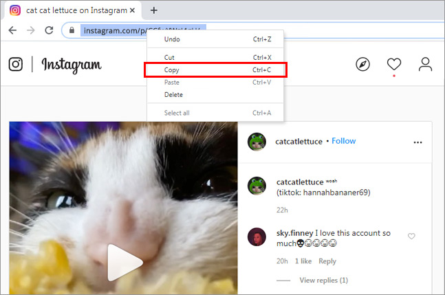 How to download Instagram to MP4 video with Instagram downloader