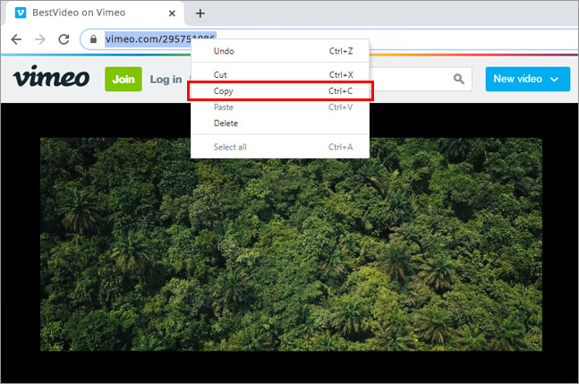 How to download Vimeo to MP4 video with Vimeo downloader